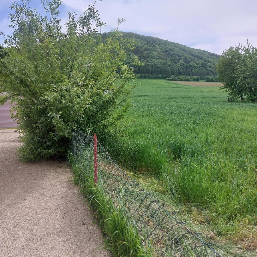 Ferienwohnung Rudat 特罗伊赫特林根 外观 照片